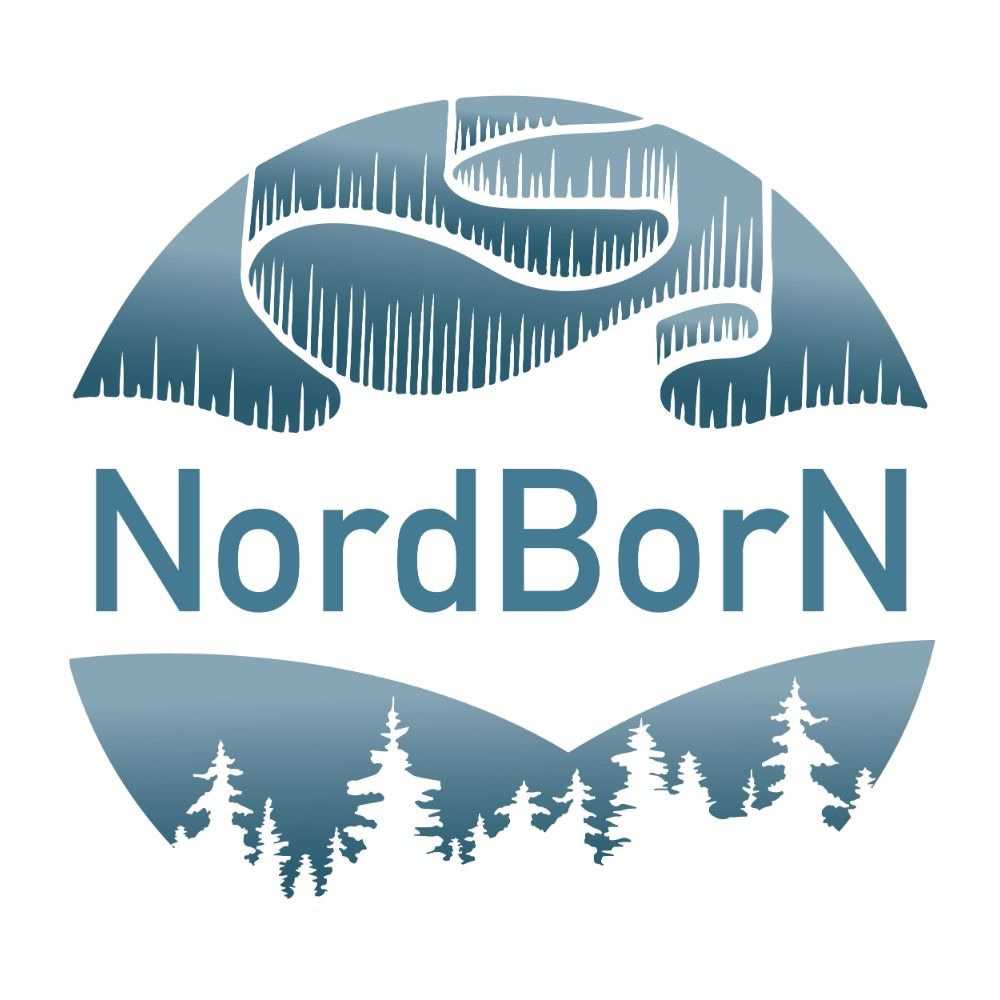 NordBorN's avatar