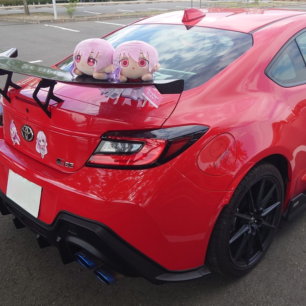 たきまる🪼