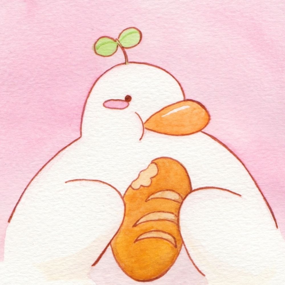 Qinmo 🍰