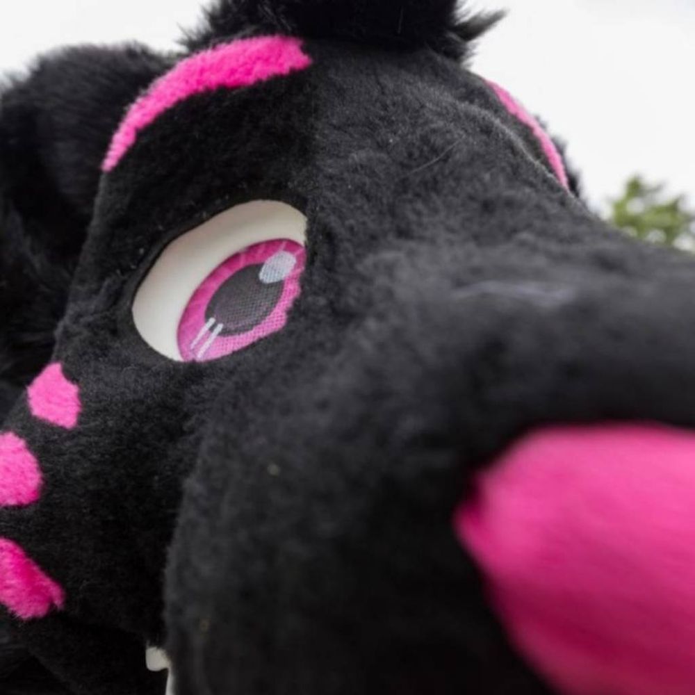 Faxy 🔜 Furdu