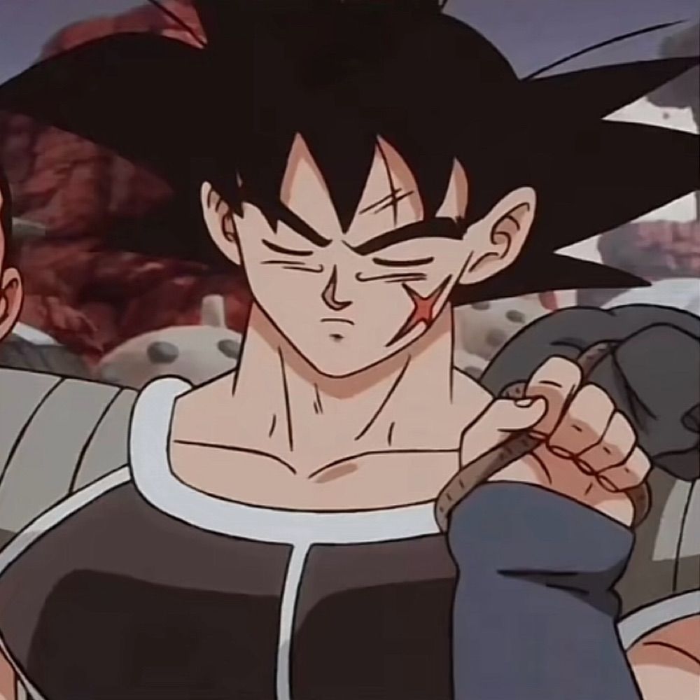 BARDOCK