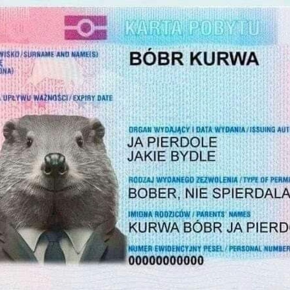 Злюка Бобер