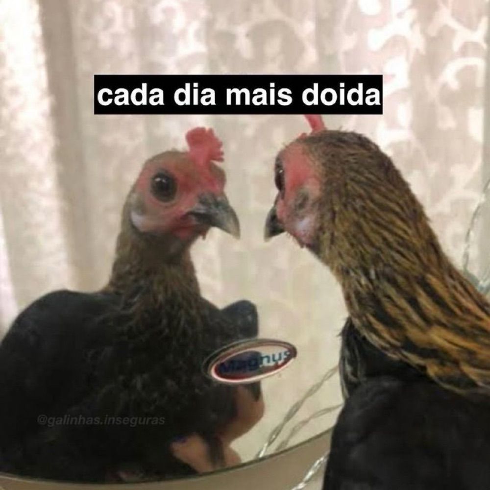 Jhey🪴