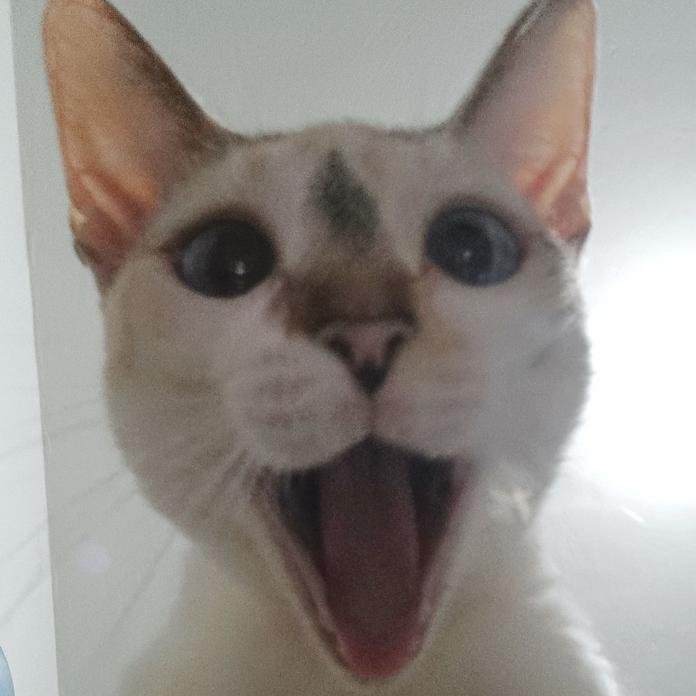 smile
