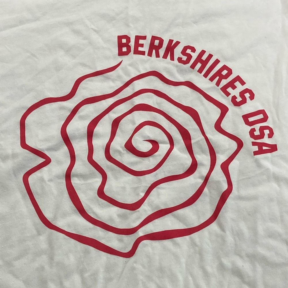 Berkshires DSA
