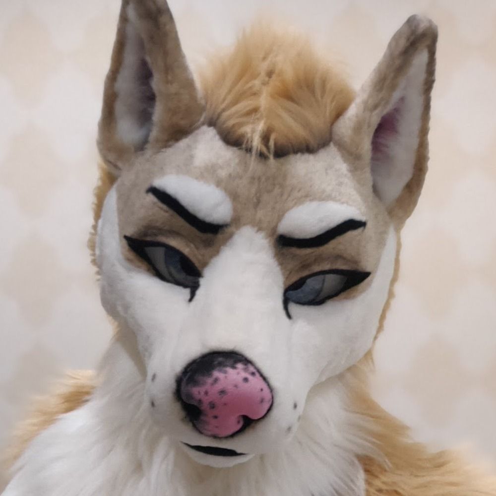 Tryna Husky