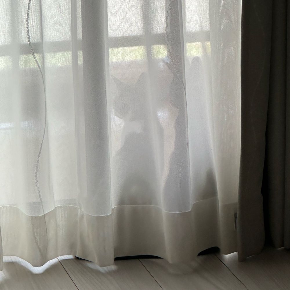 春雷
