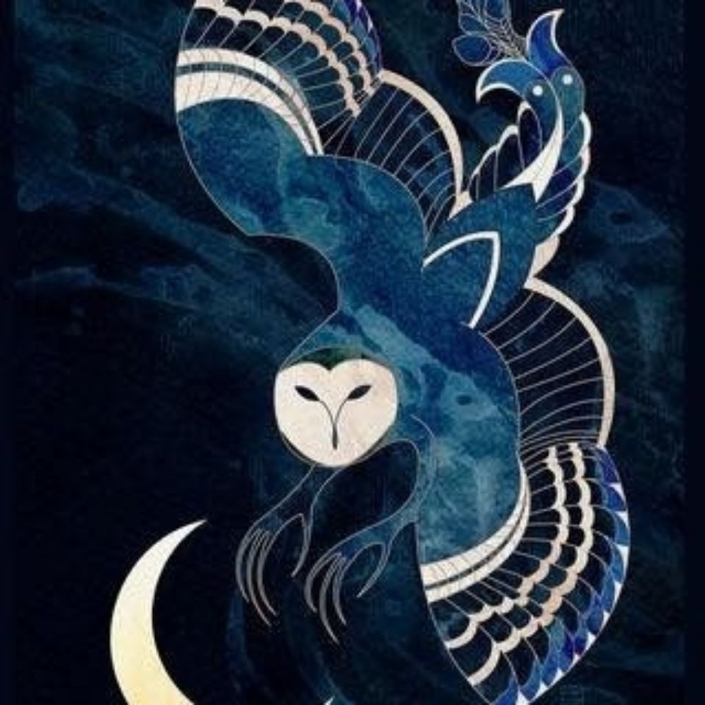 Owly_Anders