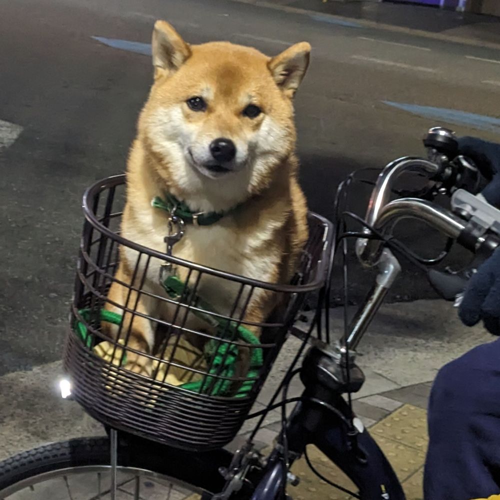 ちゃんみー