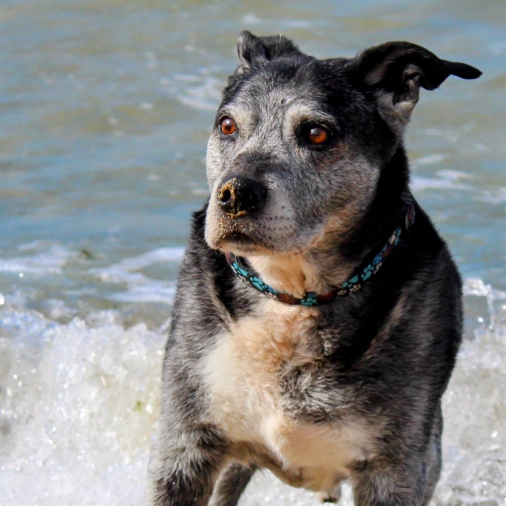 martinbeck.bsky.social