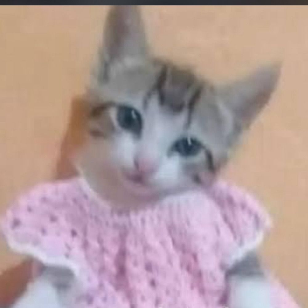 Mini Mauá 