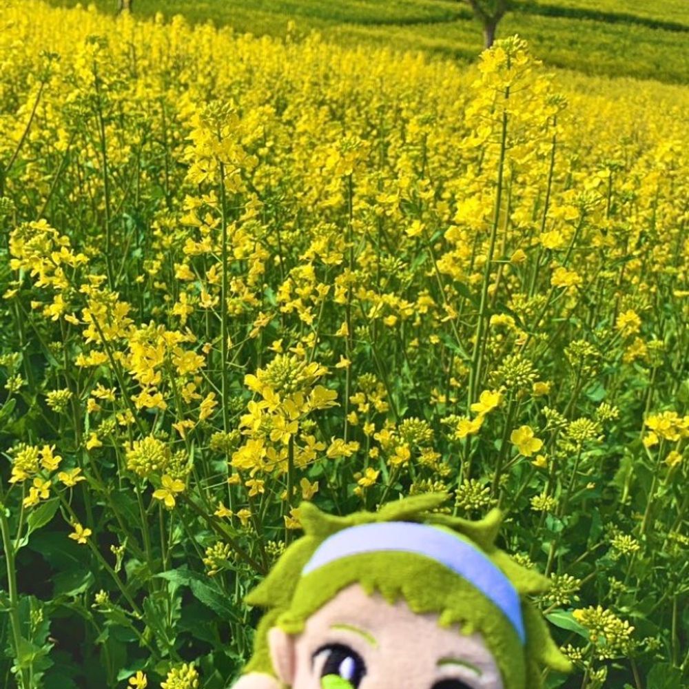 脳直