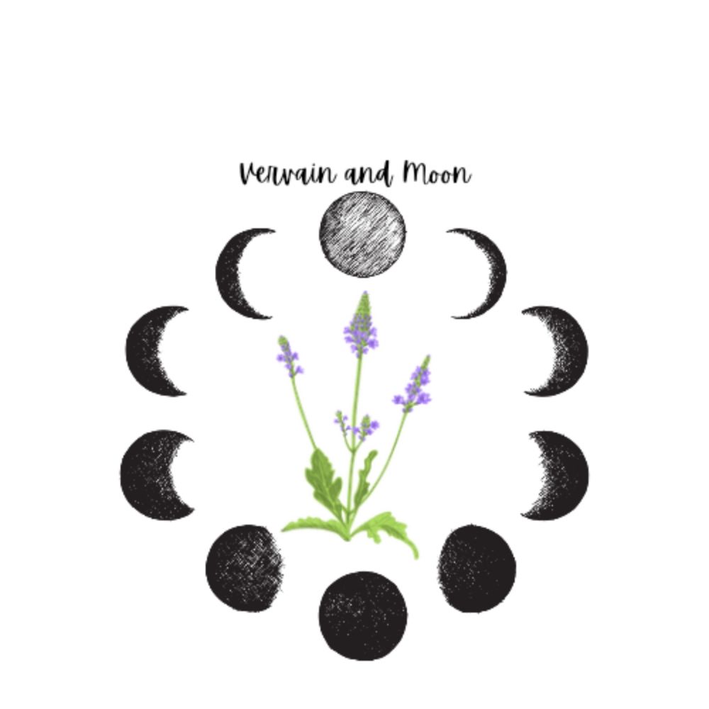 Vervain and Moon