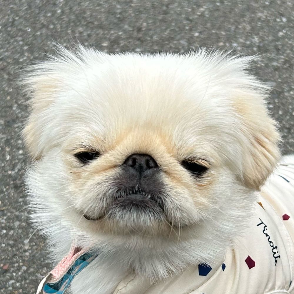 きのﾋﾟ
