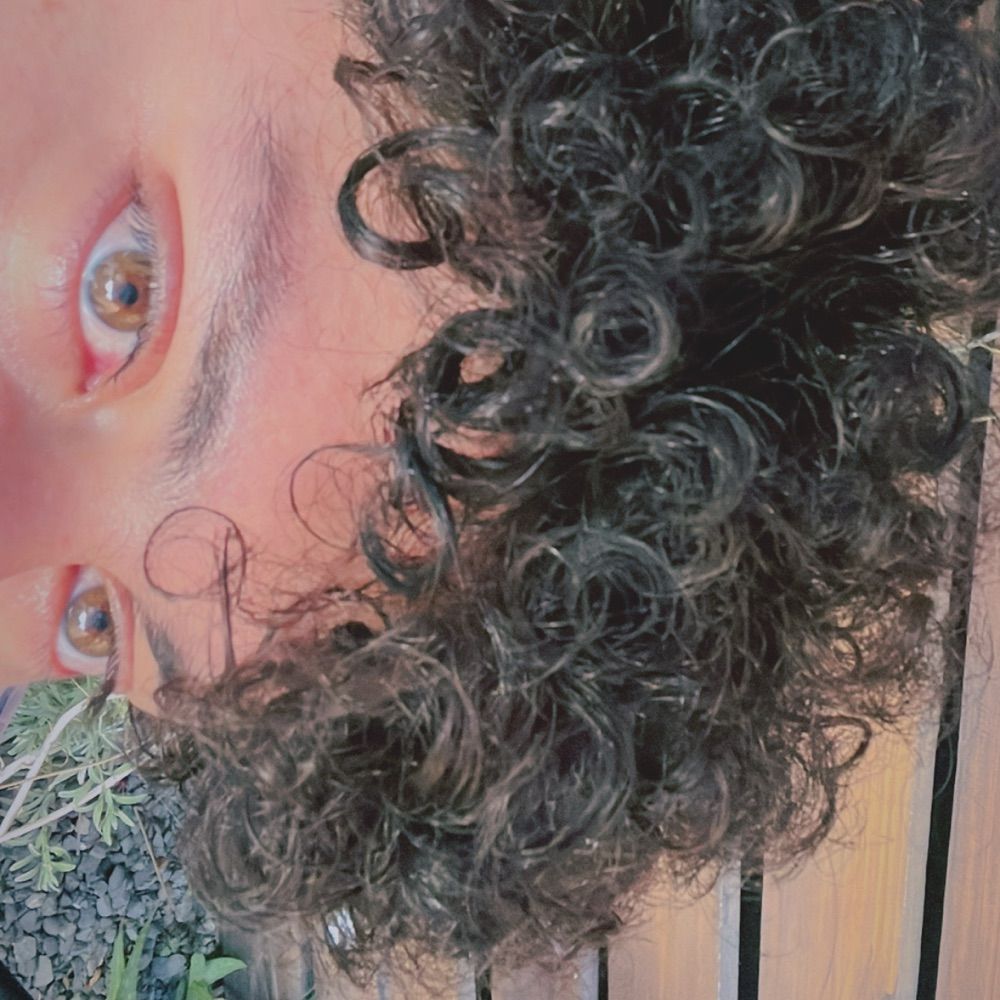 🛸
