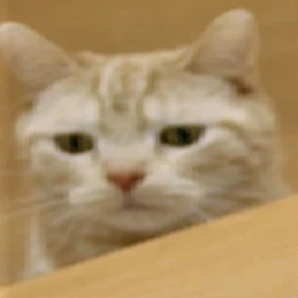 PrCat77