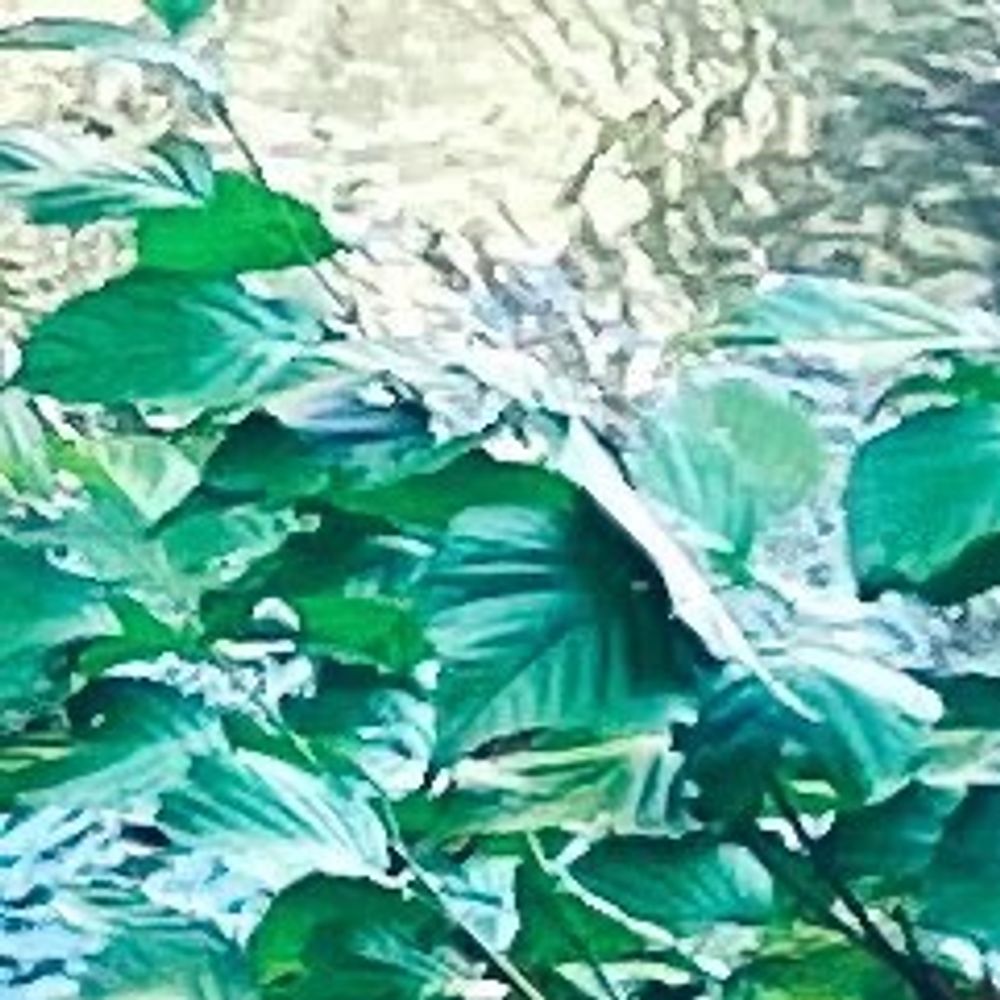 8点
