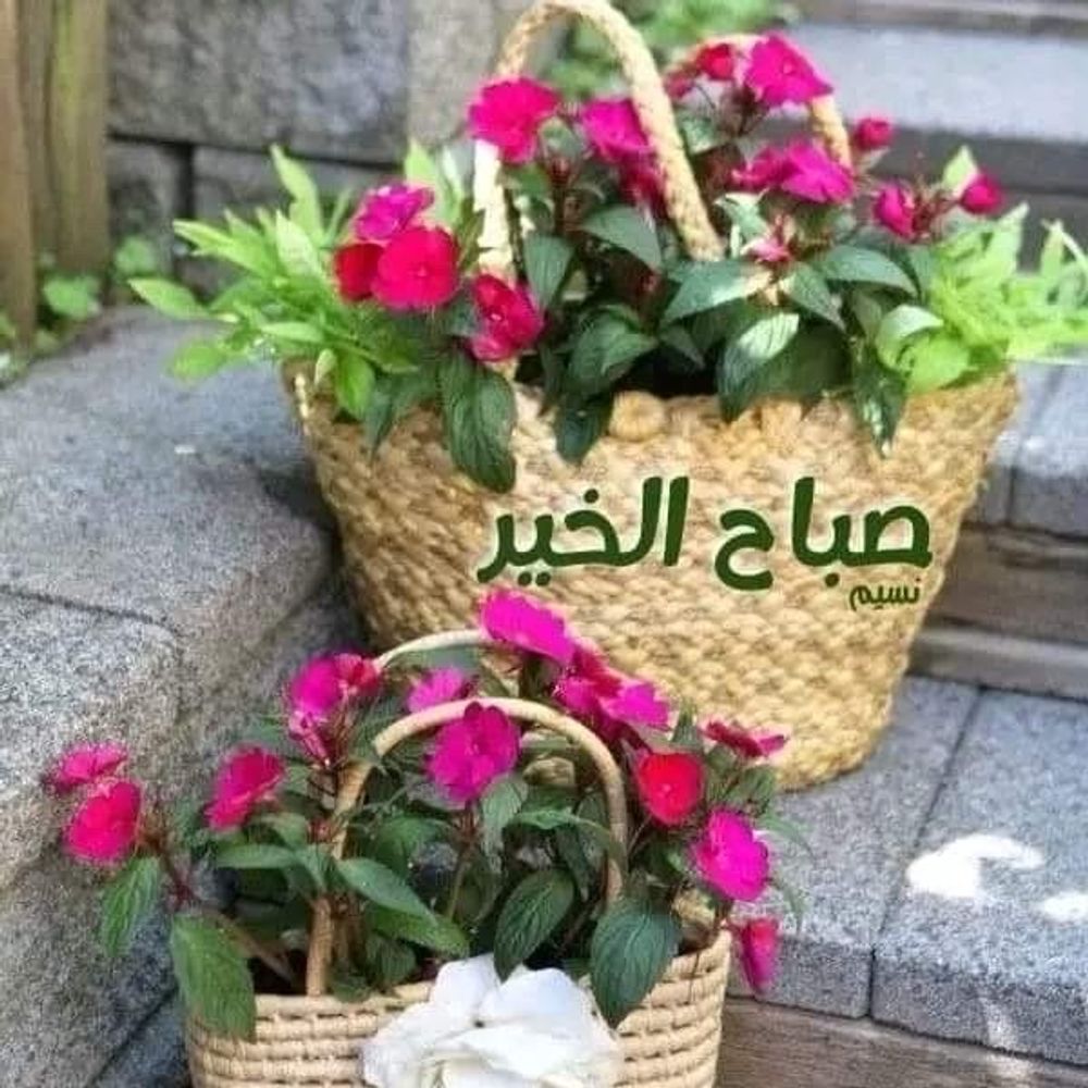 Ann Riordan - أنونة لولو