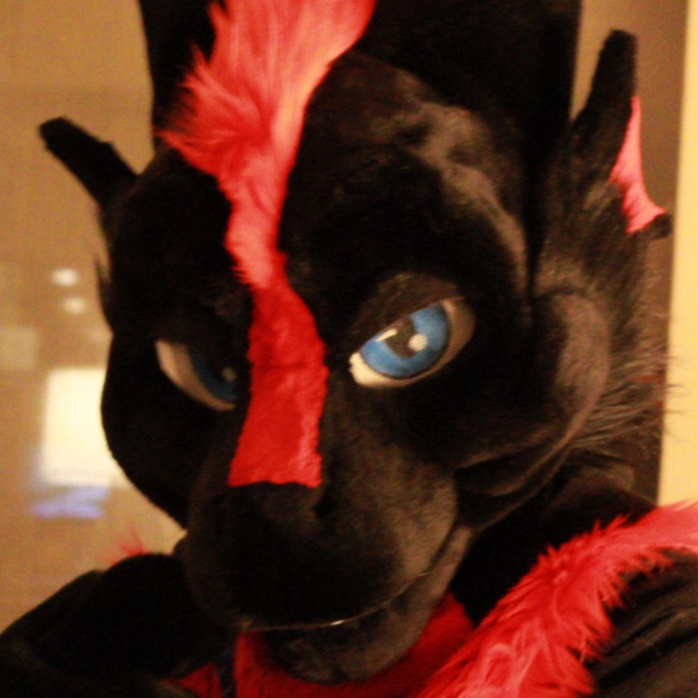 Riko the Dragon