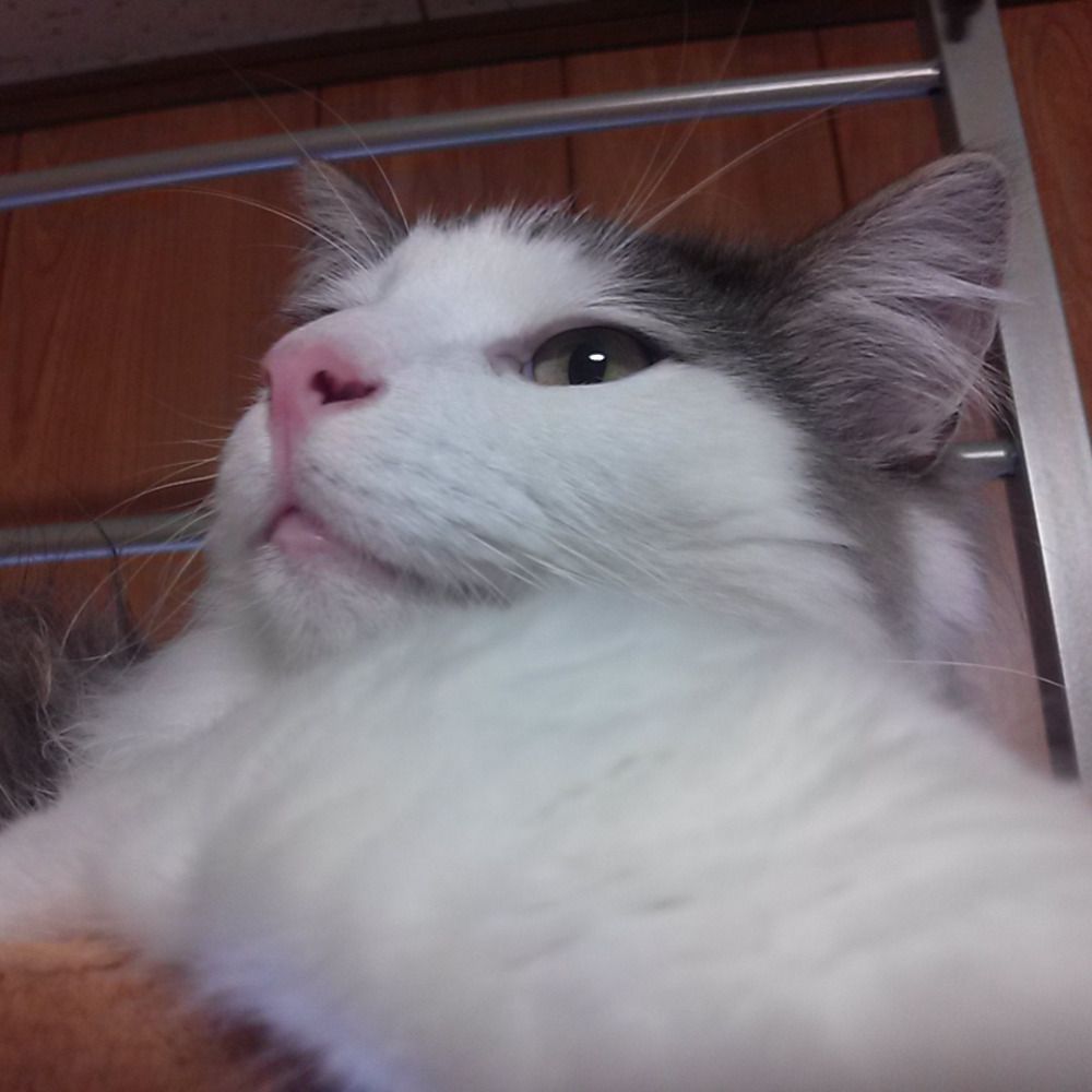 秋水