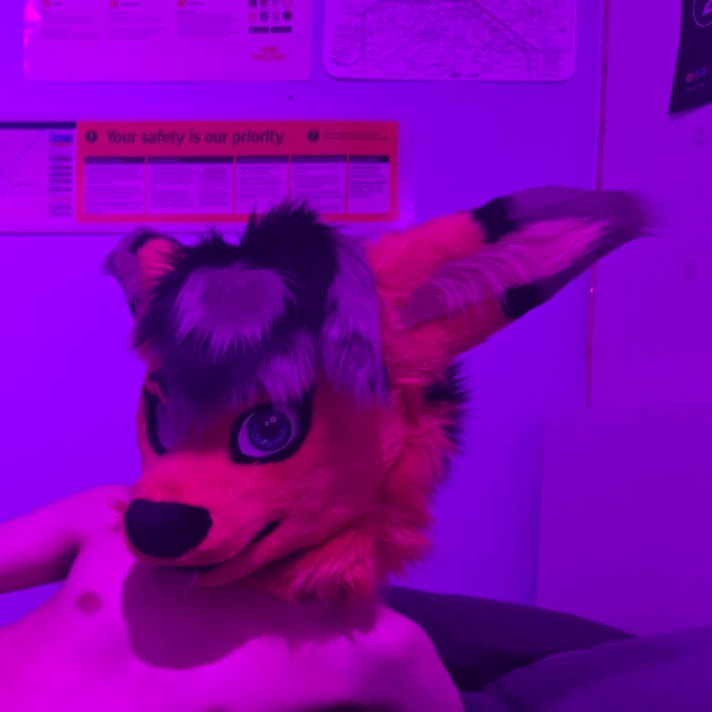 Horny Roo