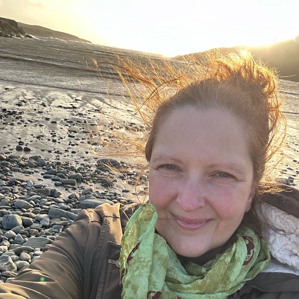 Ann Haigh