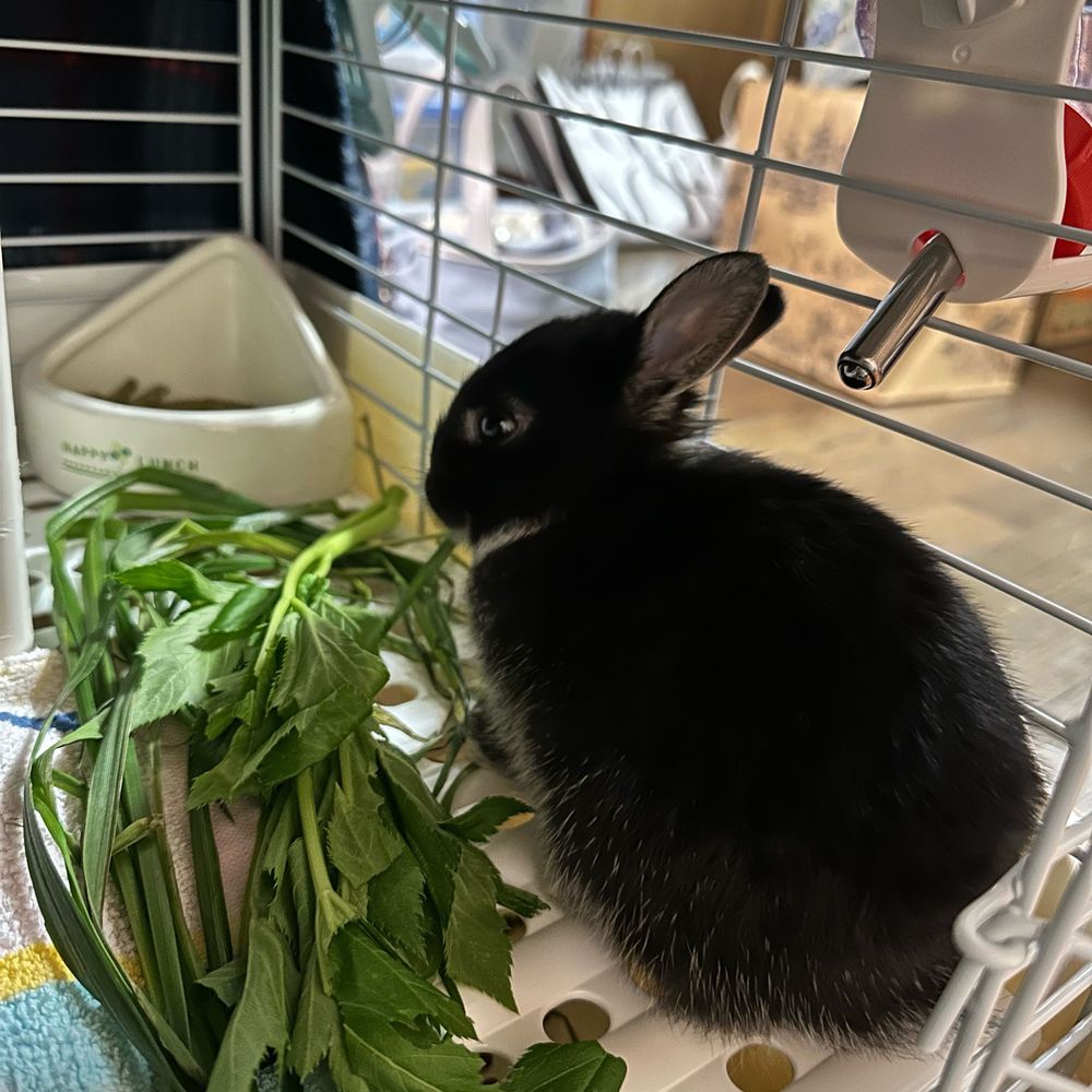 いちた🍙
