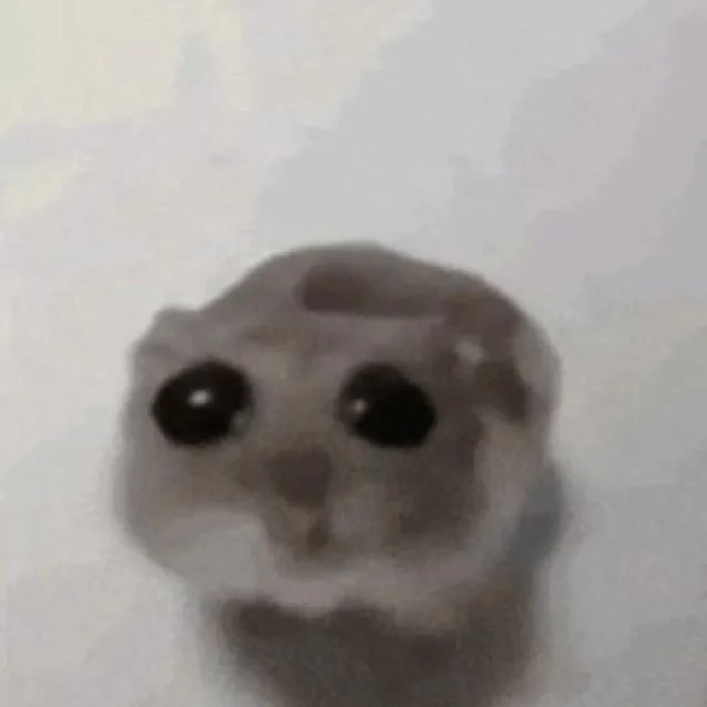 ratbro