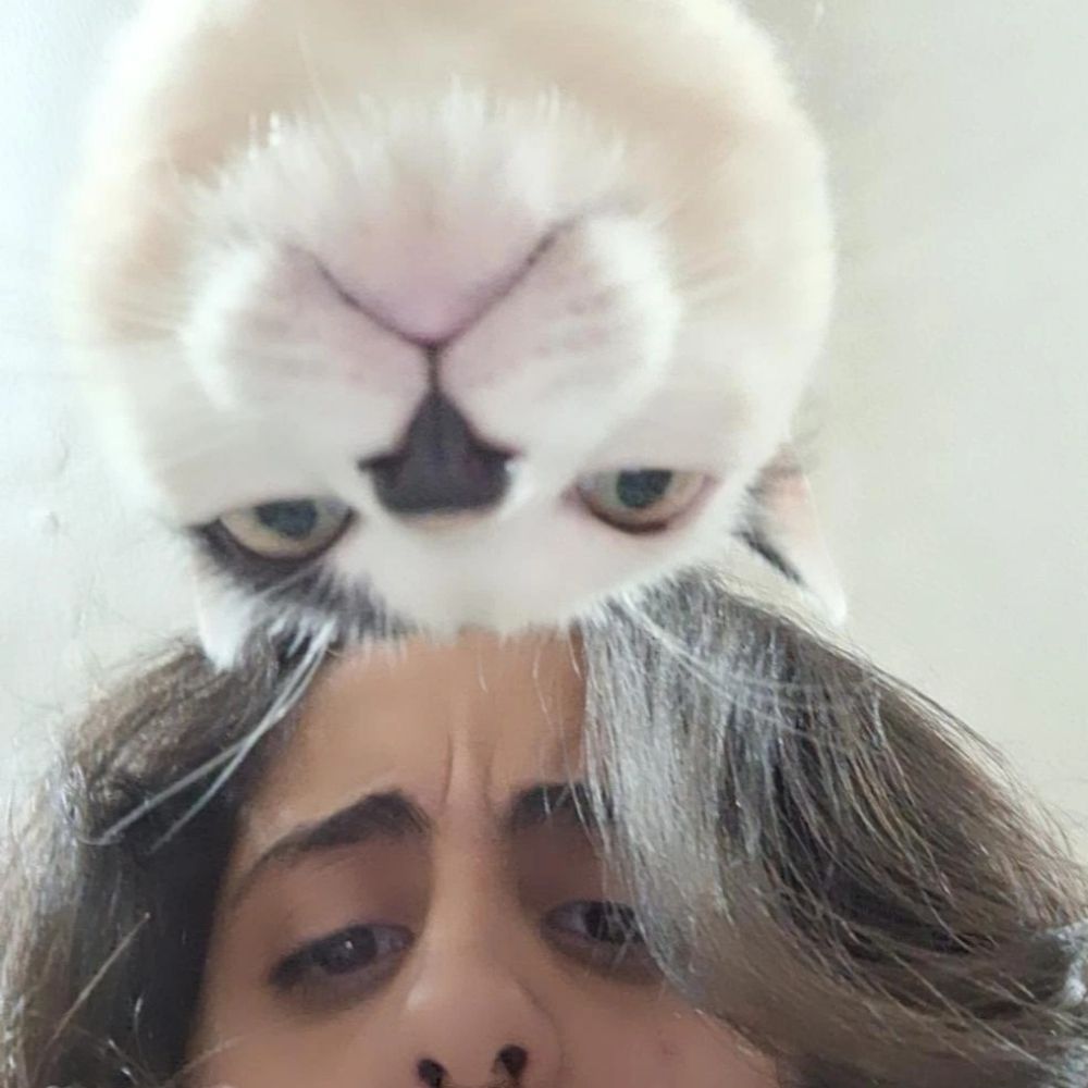 vifss