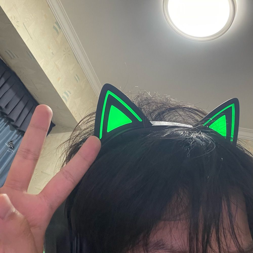 drunkcattt