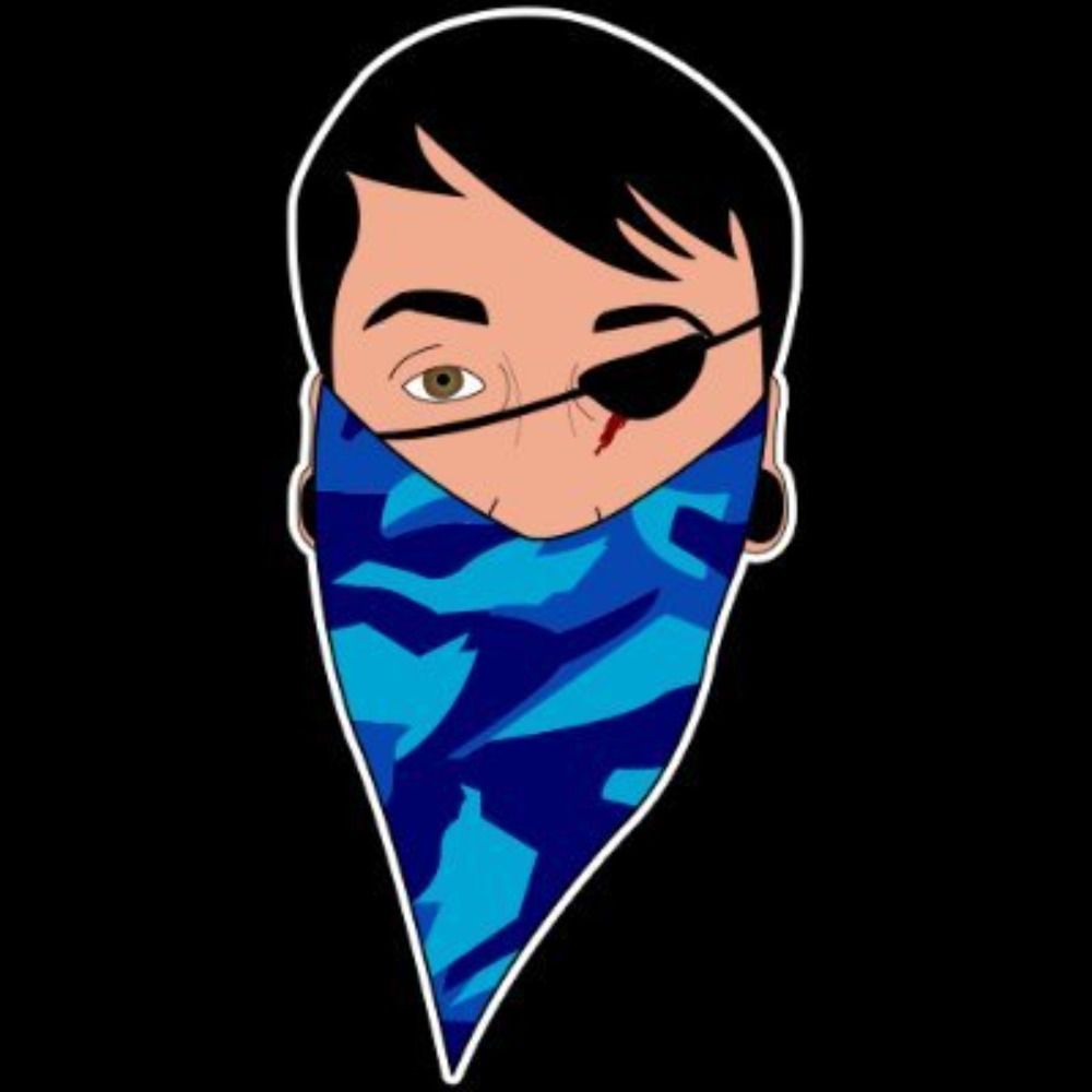 BlindCatX