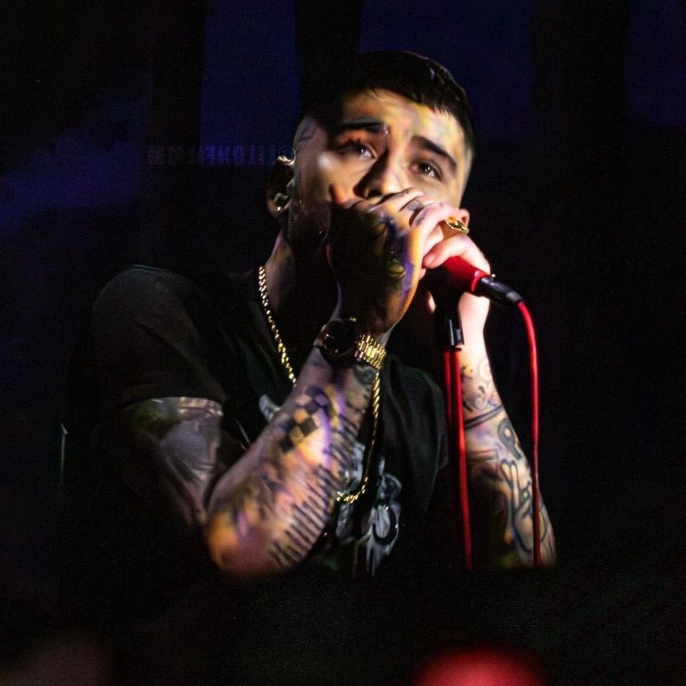 zayn files