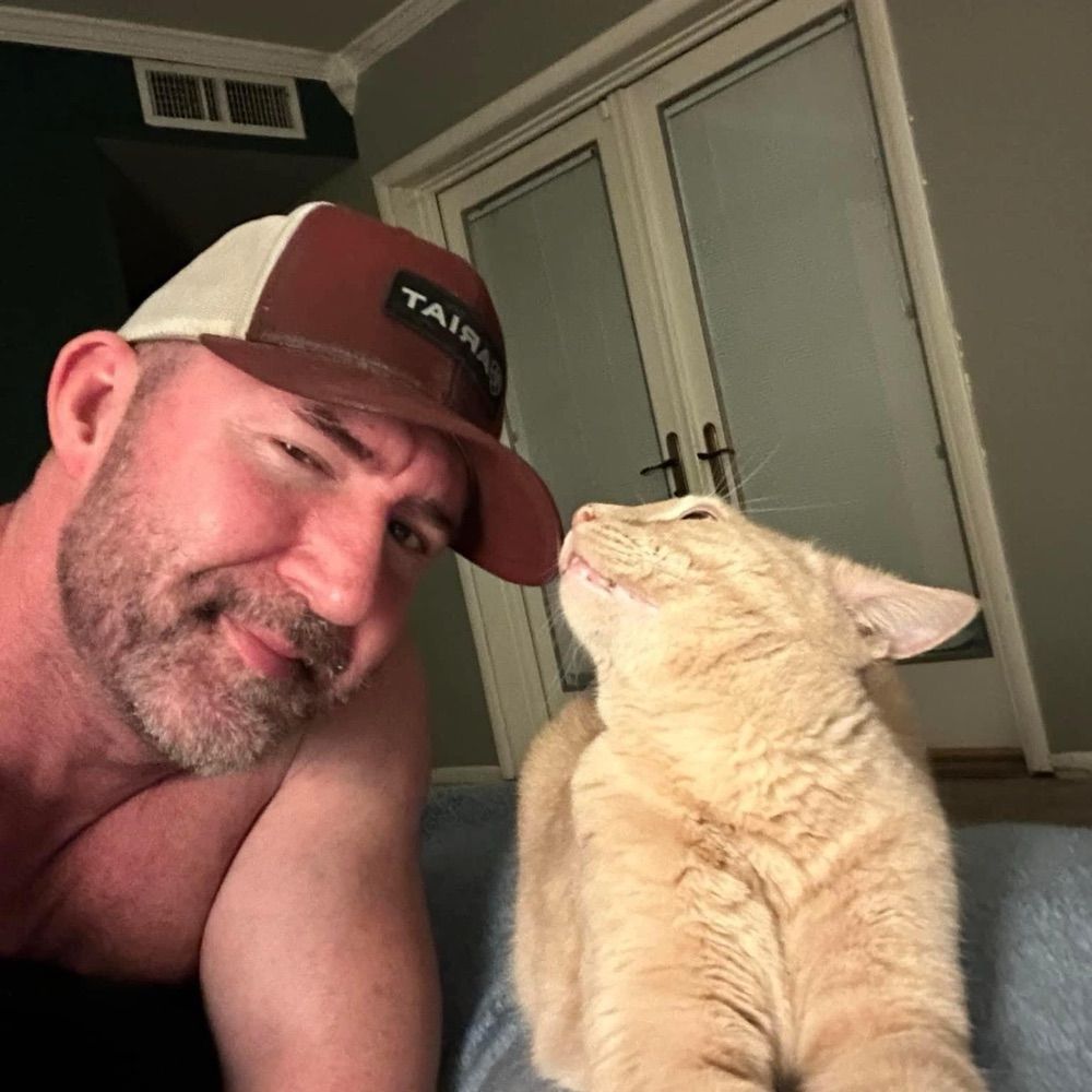 My Crazy Cat Life