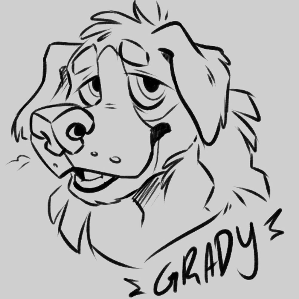 bigdoggrady.bsky.social