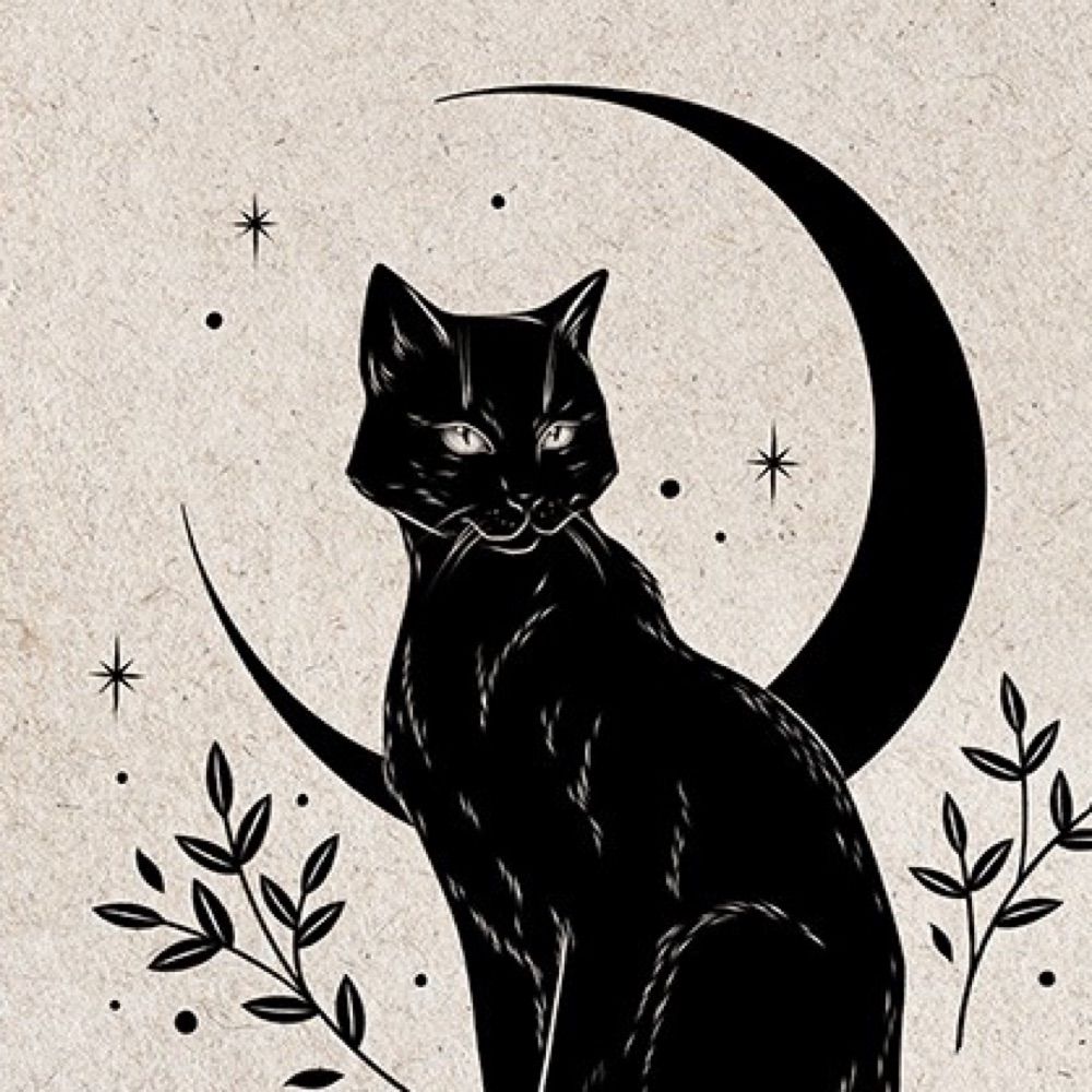 ✨ᴅᴀɪʟʏ ᴛᴀʀᴏᴛ✨