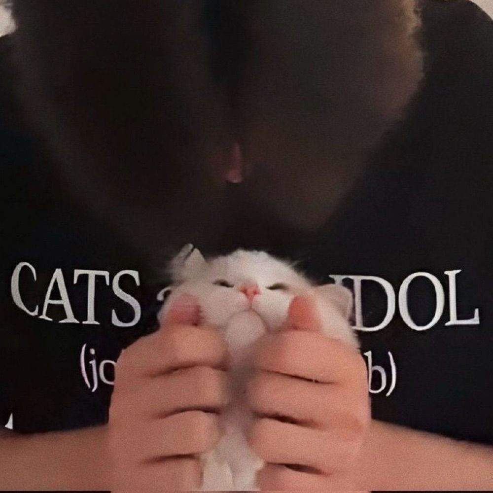 𝒔𝒘𝒅𝒓𝒎 ☾⋆