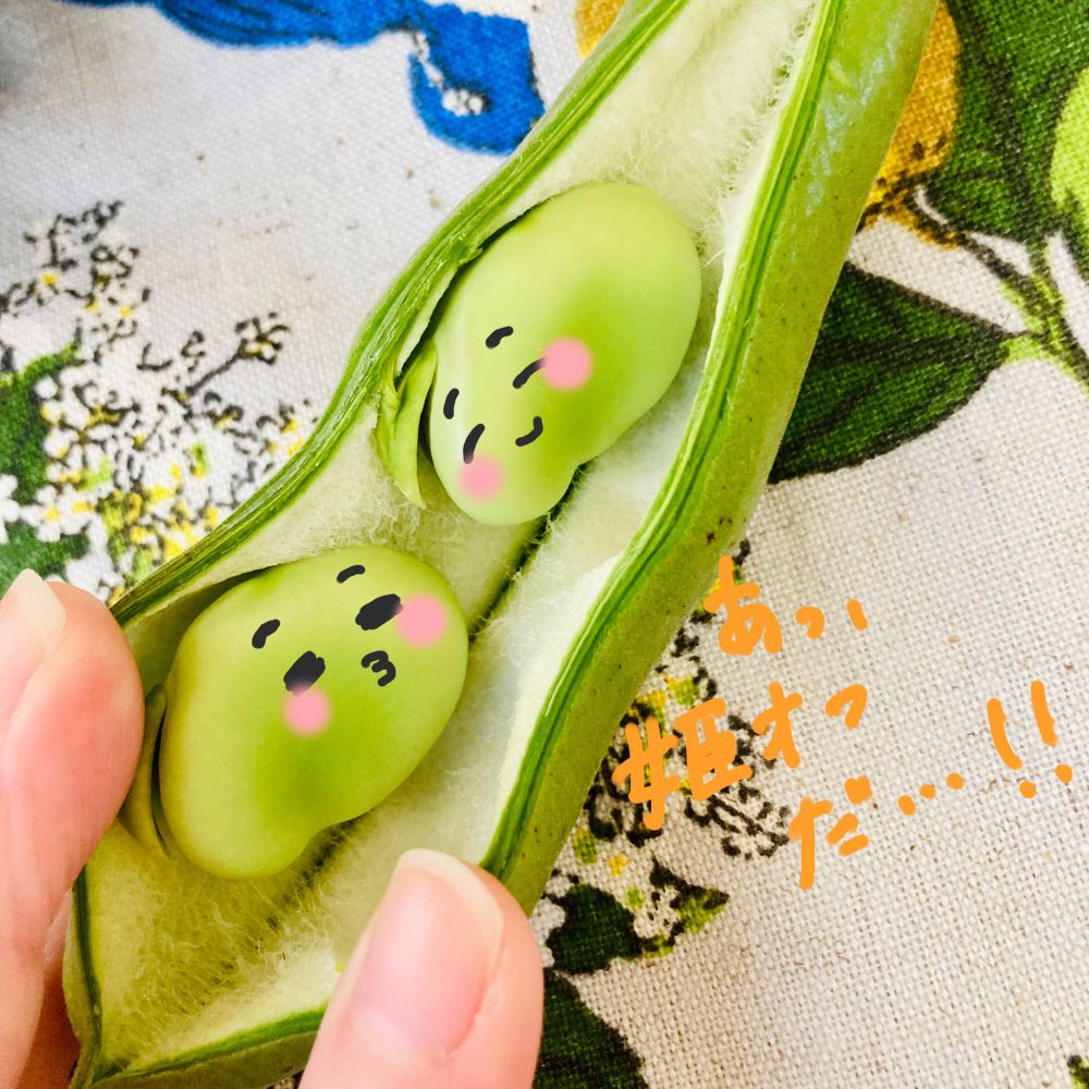 オフトンのからあげ☺️🛏️