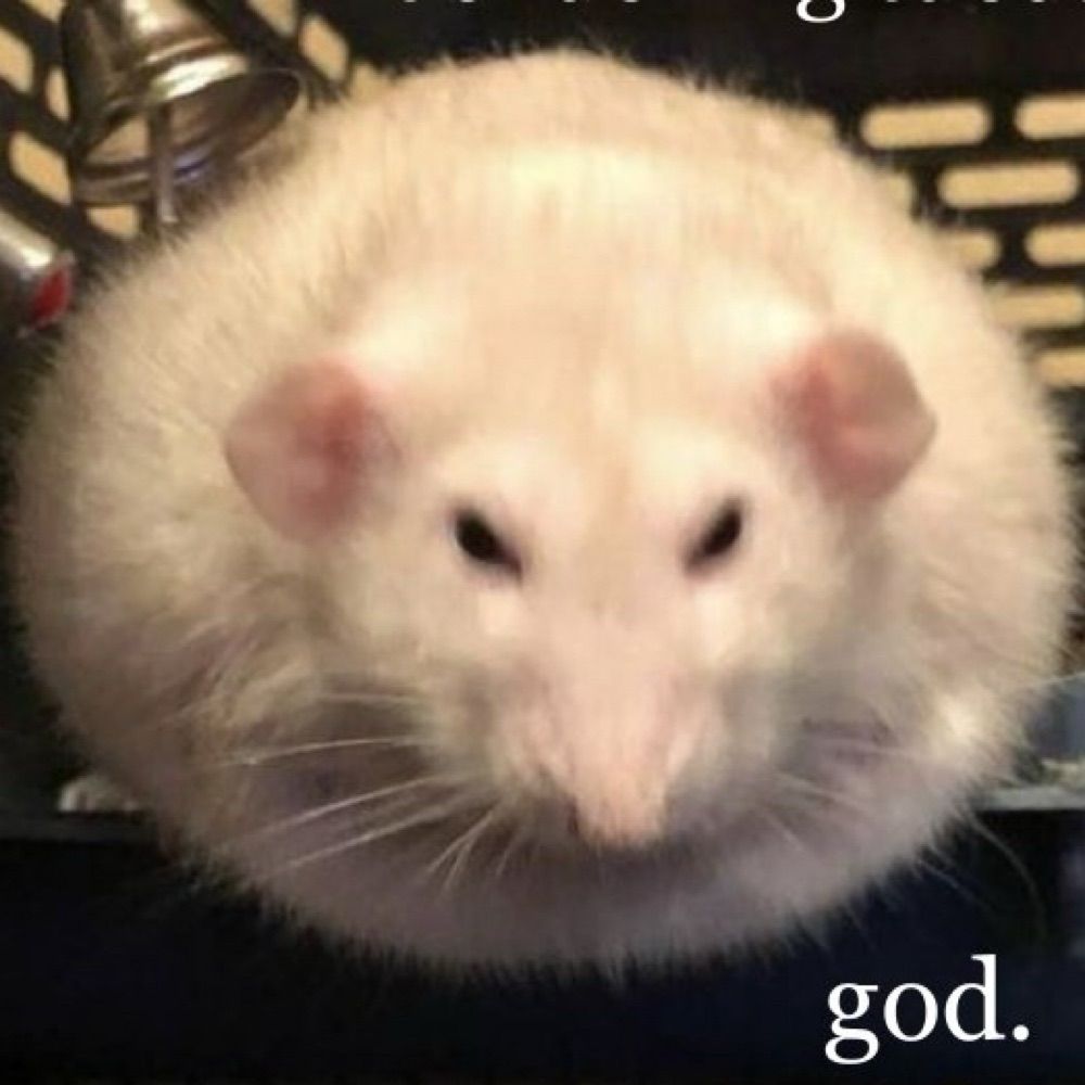 Adrian