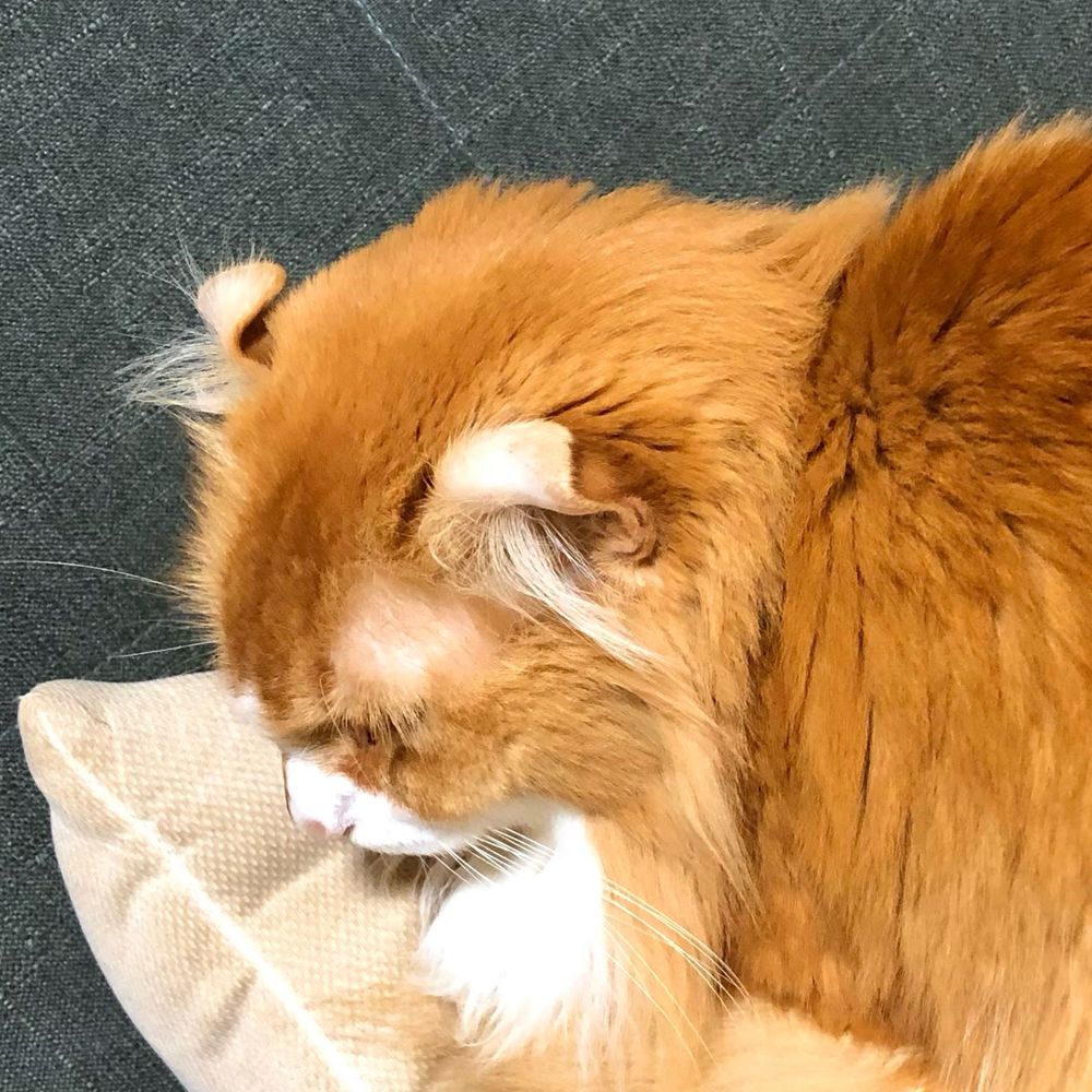 すい