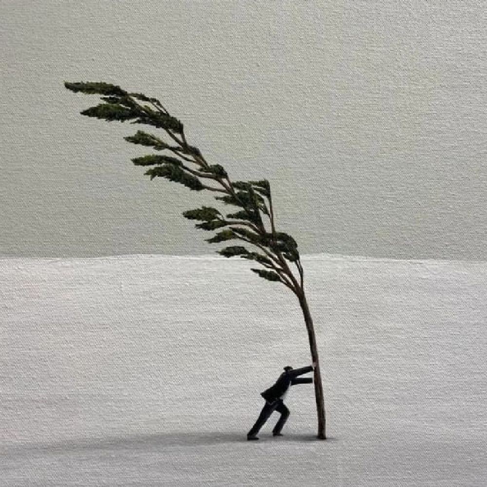 A.Kayacı