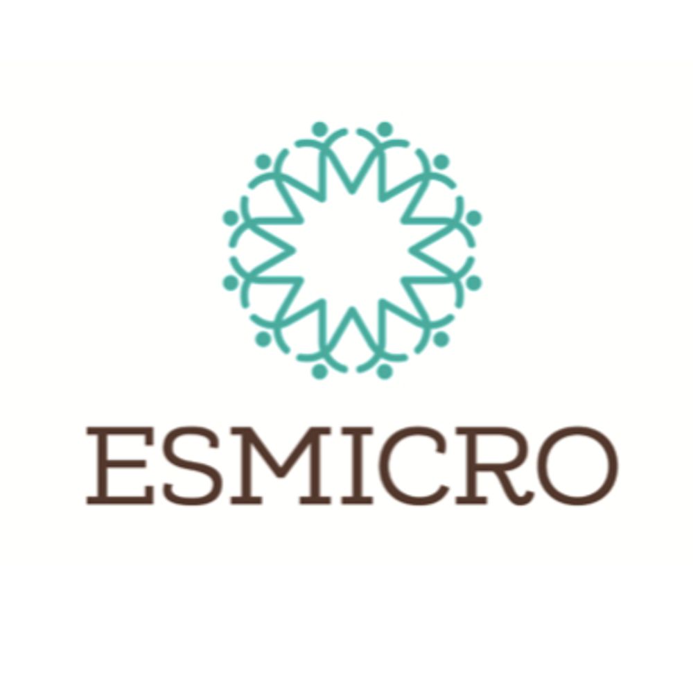 Proyecto ESMICRO