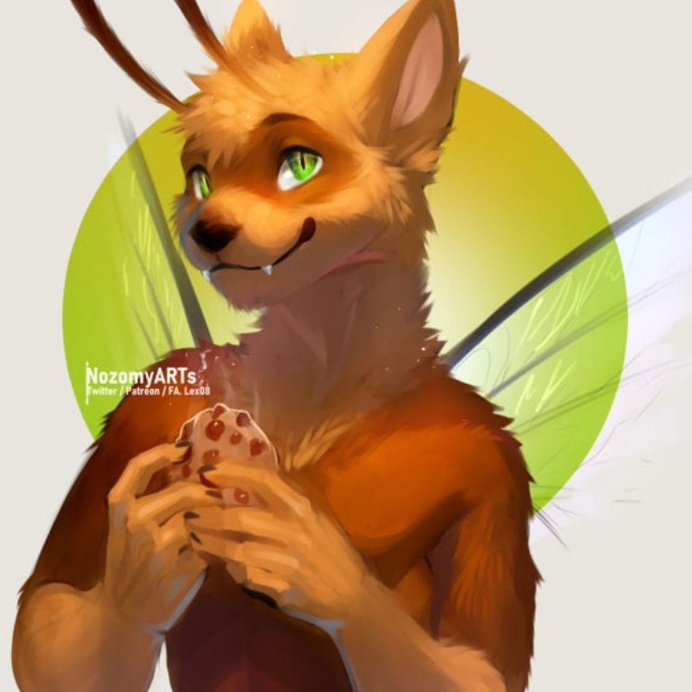 Drone Raccoon