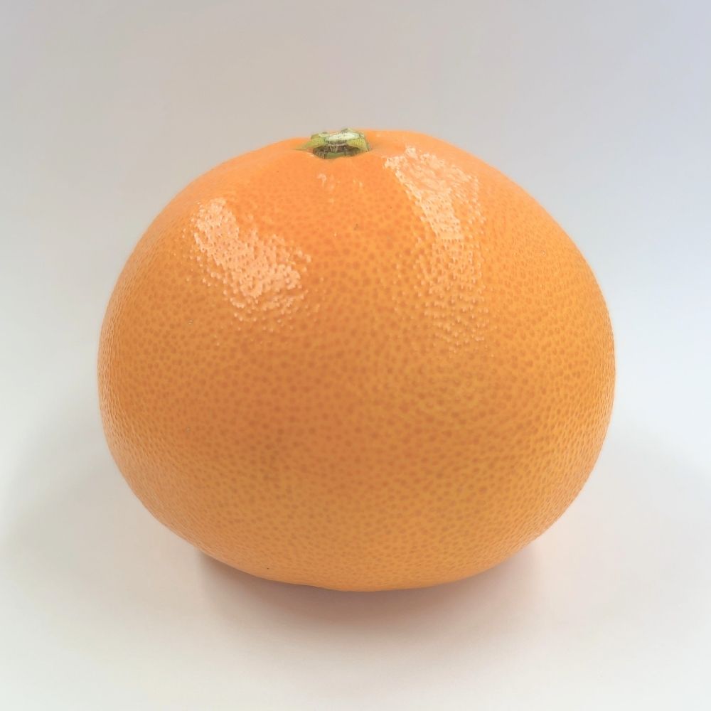 ｹ