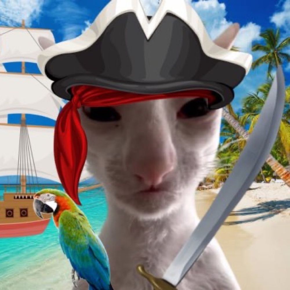 Pirate Posting