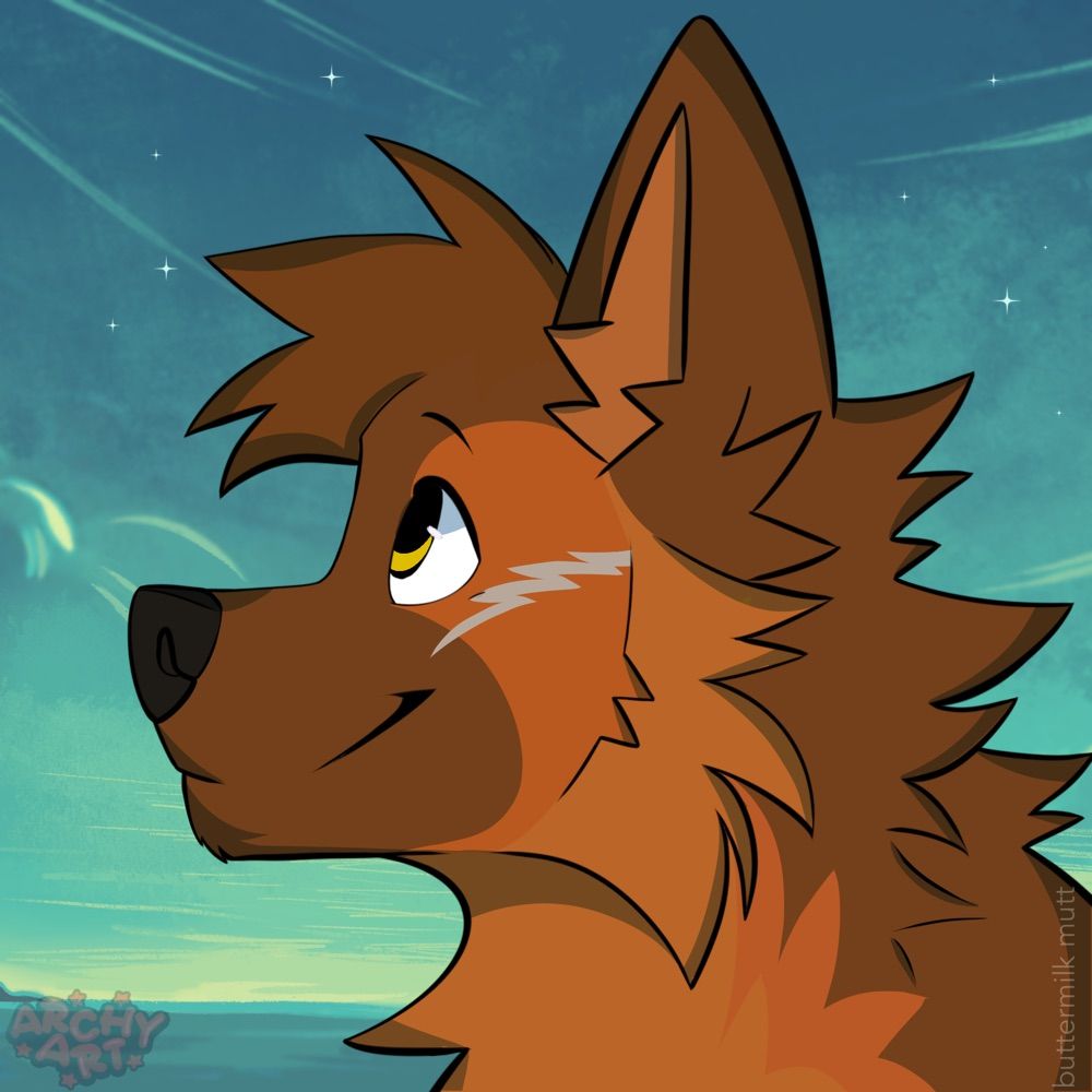 Storm Shepherd AD