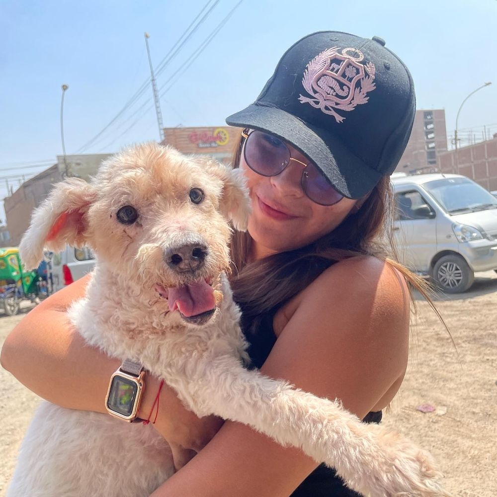 Velvet hearts animal rescue