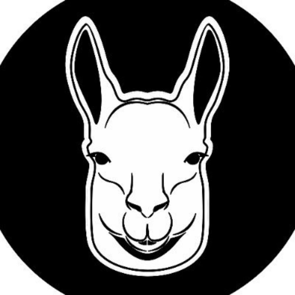 Guanaco