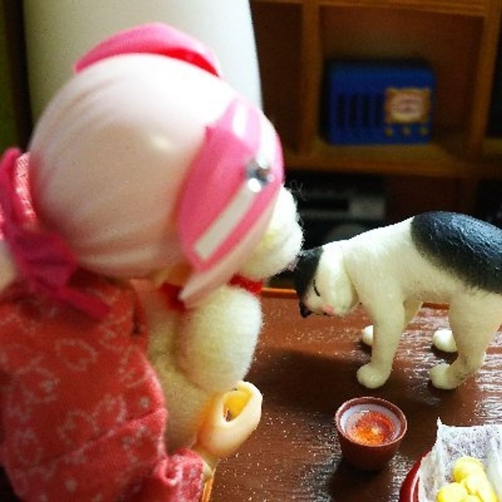 タカ房