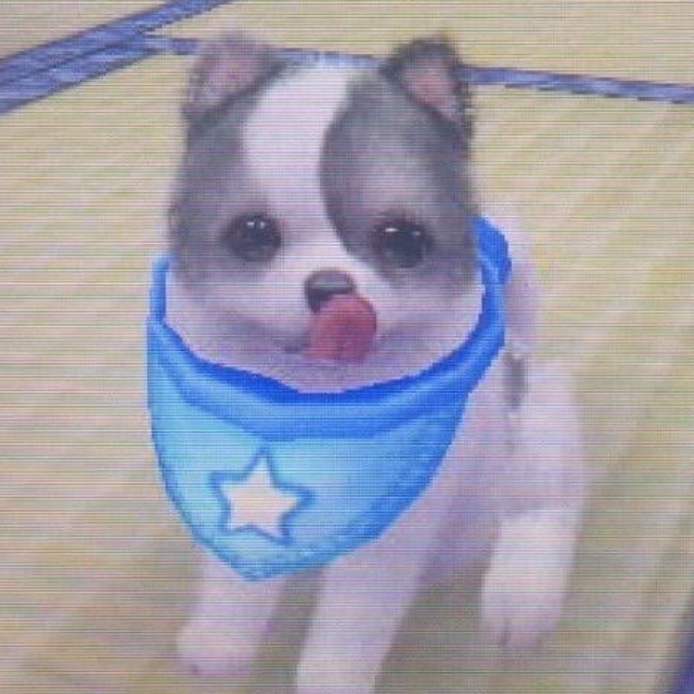 かにそ