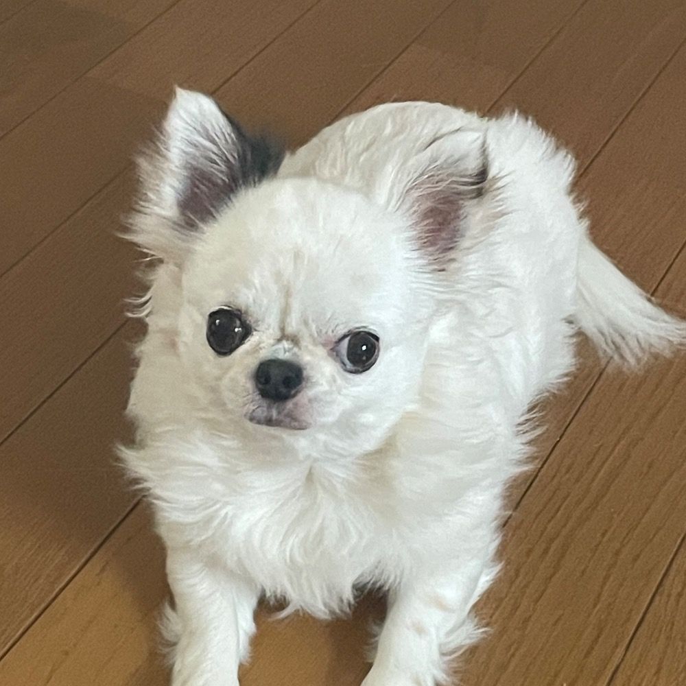 エゴイスト